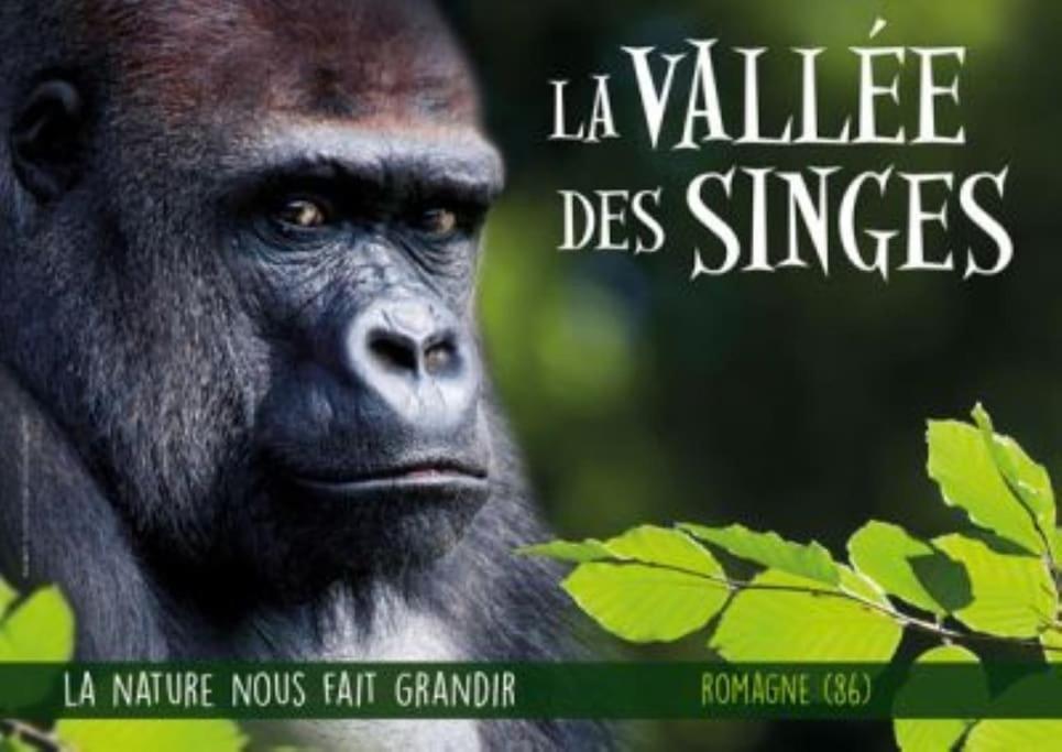 Hébergement de vacances Bin Benaise Draps Et Serviettes Compris *
